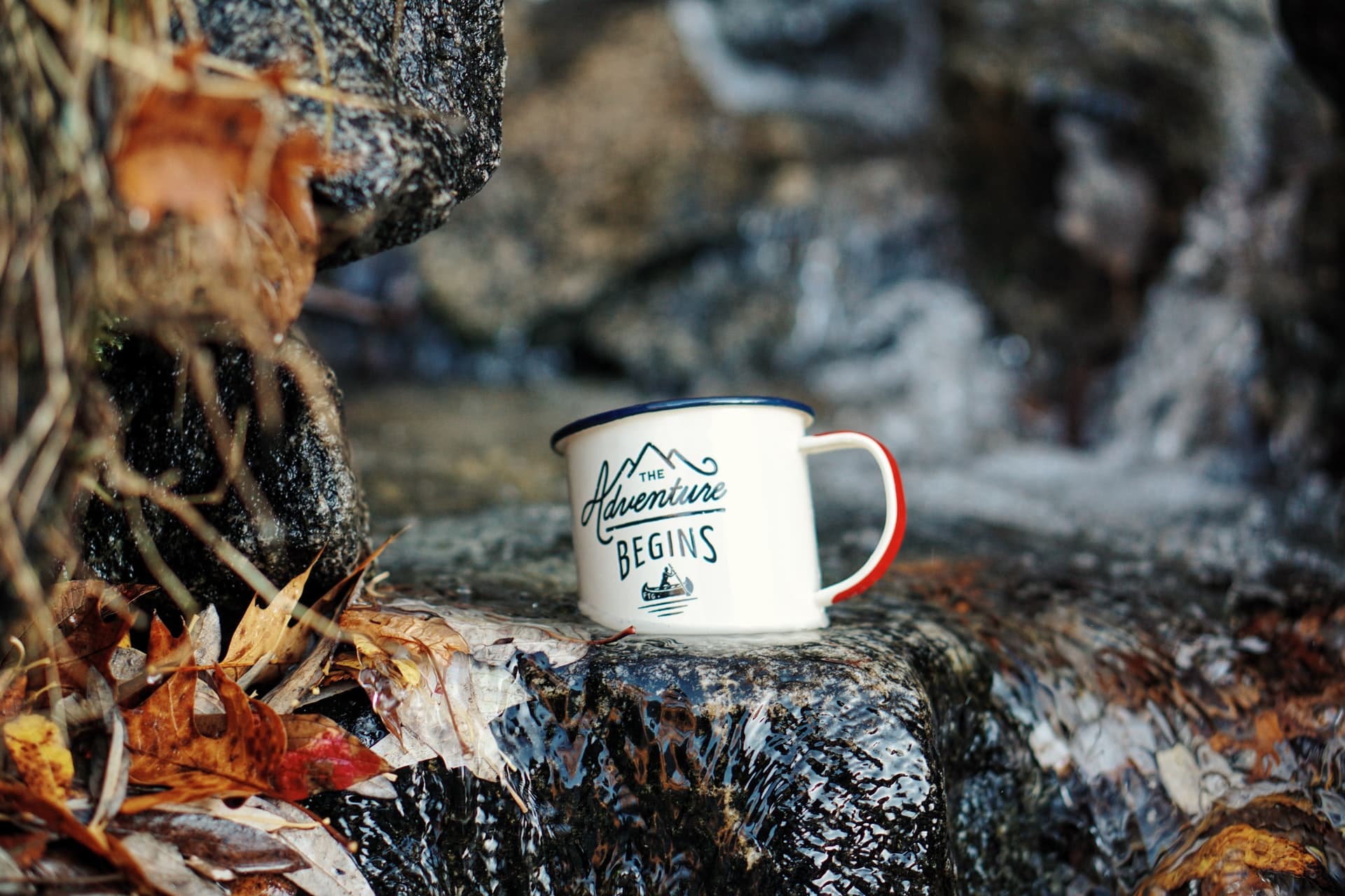 picture of mug with adventure begins